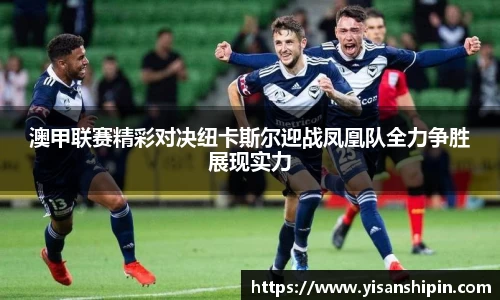 澳甲联赛精彩对决纽卡斯尔迎战凤凰队全力争胜展现实力